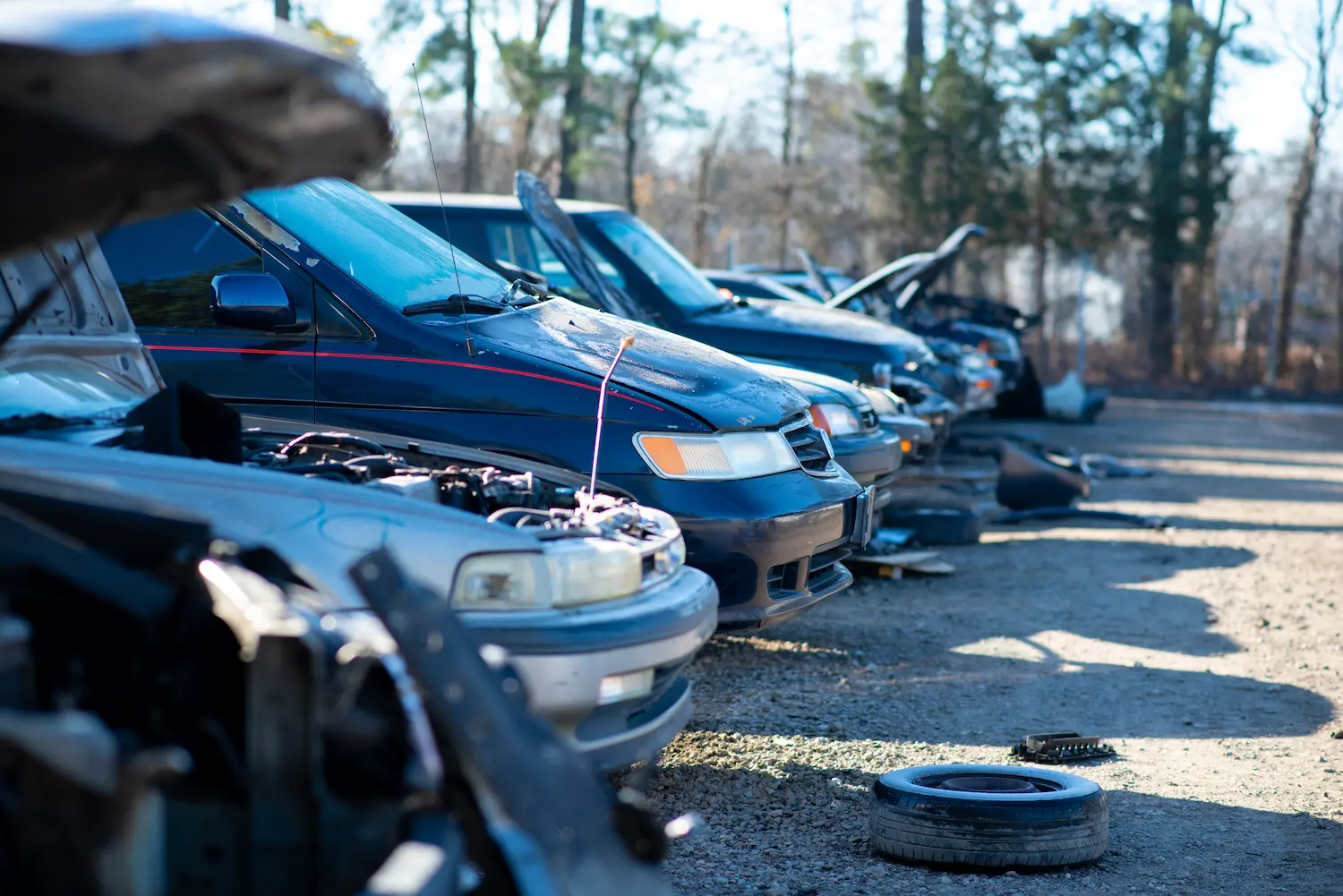 Row of junked cars